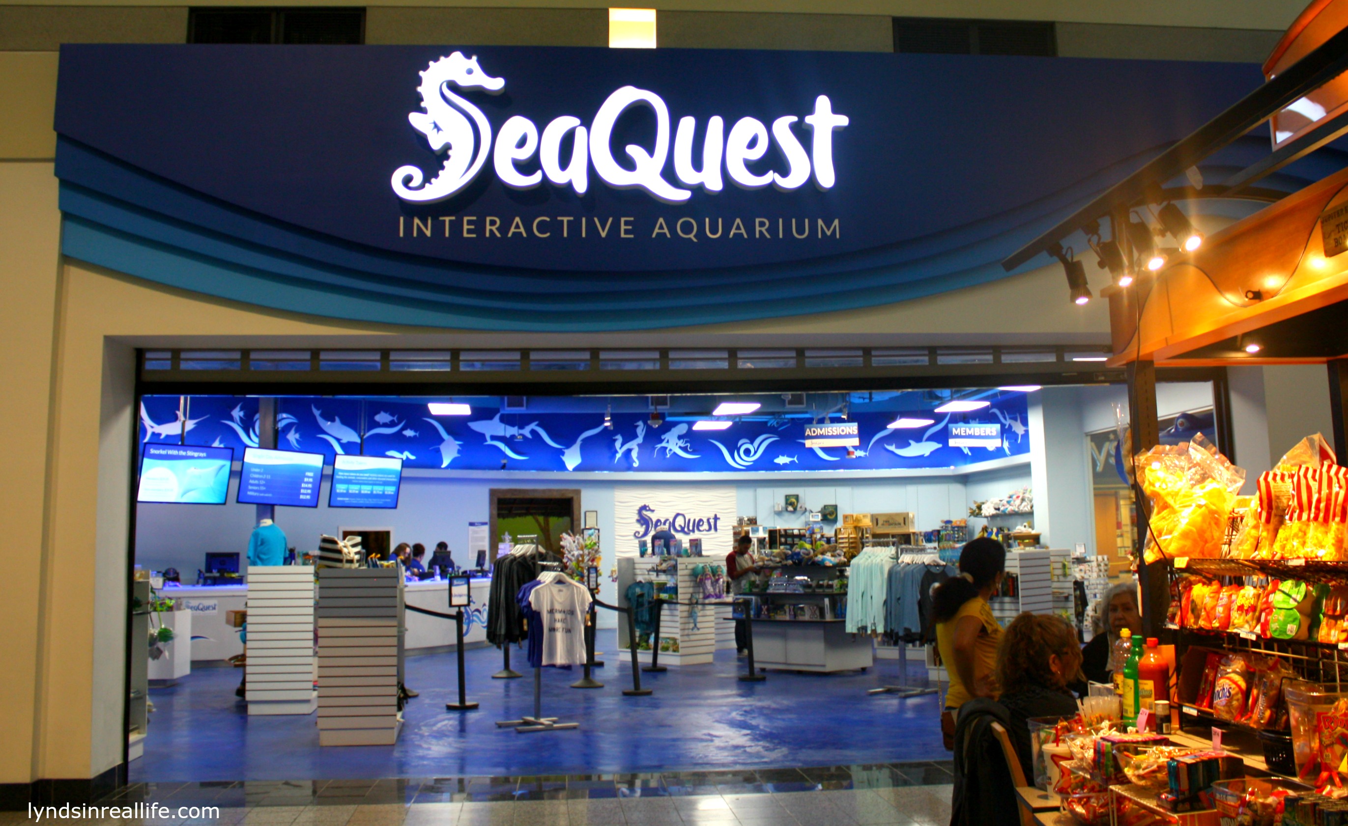 SeaQuest Interactive Aquarium, A New Kids Attraction, Comes to Las