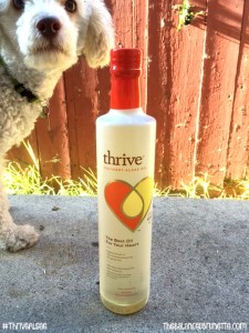 ThriveAlgae Oil Dog Blog