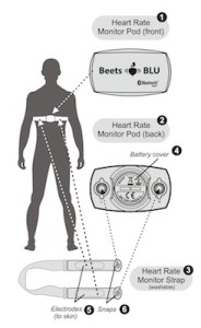 Beets Blu heart rate monitor diagram