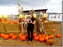 Pumpkin Patch Archie