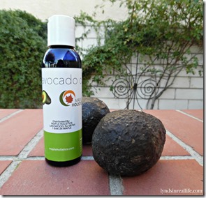 avocado oil maple holistics blog 2