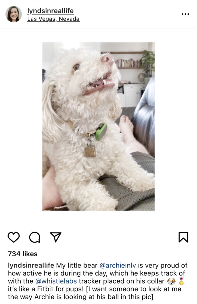 whistle FIT pet tracker instagram 