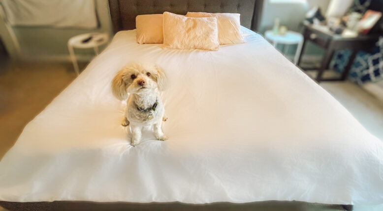 Making Your Bed Has Never Been So Easy With Beddley